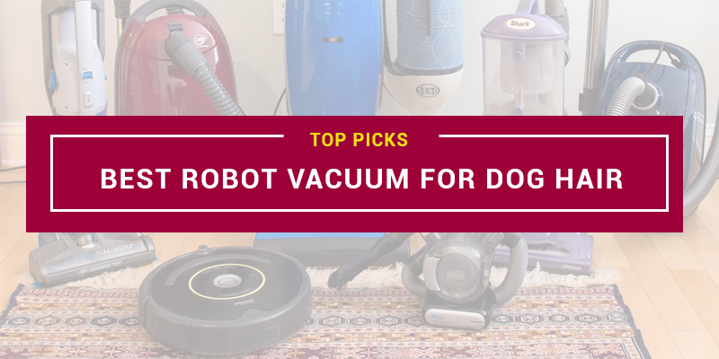 Best Robot Vacuum For Dog Hair