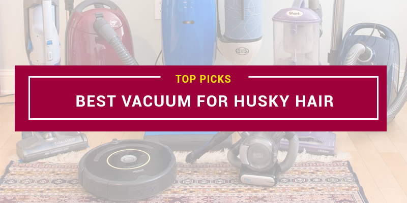 Best Vacuum for Husky Hair